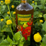 Garrafa de cachaça Jamburana localizada entre flores de jambuzeiro em um campo de cultivo